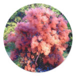 A BUSH OF ANOTHER COLOR STICKER