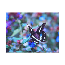A butterflies flitter and flutter stretched canvas prints