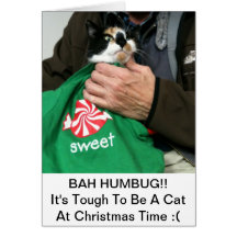 A Cat Lovers Christmas Card!!!