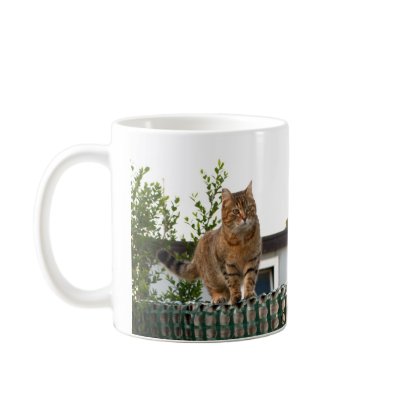 a cat on a mug by stregatto
