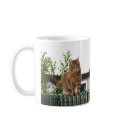 a cat on a mug