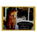 A cat's eyes are windows... greeting card