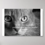 A cat's eyes... print