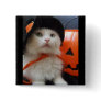 A Cat's Halloween Pinback Buttons