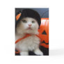 A Cat's Halloween Greeting Cards