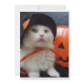 A Cat's Halloween Personalized Invites