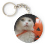 A Cat's Halloween Keychains