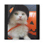 A Cat's Halloween Fridge Magnets