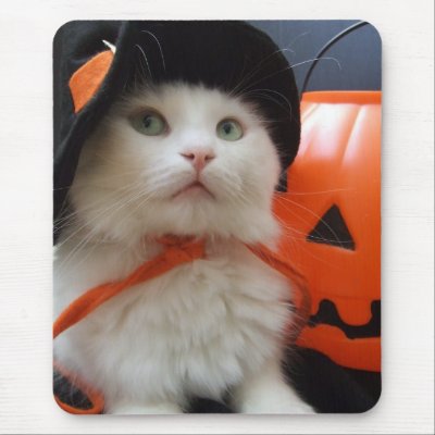 A Cat's Halloween Mouse Pads by JCatGarden