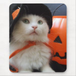 A Cat's Halloween mousepads