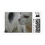 A Cat's Signature Postage Stamps