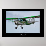 A Champ Coming in to Land posters