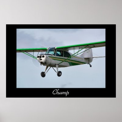 A Champ Coming in to Land Poster by Fight2FlyPhoto