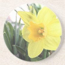 A Cheerful Yellow Daffodil Coaster