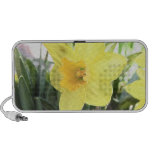 A Cheerful Yellow Daffodil Travelling Speaker