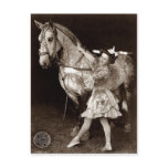 A Circus Girl and Horse