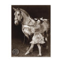 A Circus Girl and Horse postcards