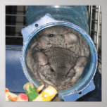 A clog in the pipe posters