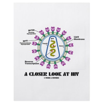 A Closer Look At HIV (Viron Virology) by wordsunwords