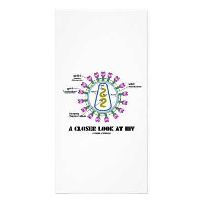 A Closer Look At HIV (Viron Virology) by wordsunwords