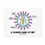 A Closer Look At HIV (Viron Virology)