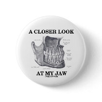A Closer Look At My Jaw (Anatomical Bones)