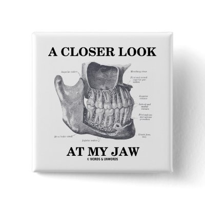 A Closer Look At My Jaw (Anatomical Bones) by wordsunwords