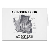 A Closer Look At My Jaw (Anatomical Bones)