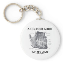 A Closer Look At My Jaw (Anatomical Bones)
