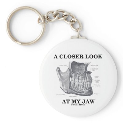 A Closer Look At My Jaw (Anatomical Bones) by wordsunwords
