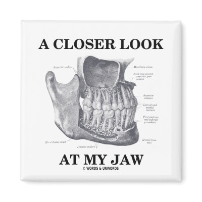A Closer Look At My Jaw (Anatomical Bones) by wordsunwords