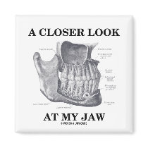 A Closer Look At My Jaw (Anatomical Bones)