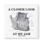 A Closer Look At My Jaw (Anatomical Bones) magnets