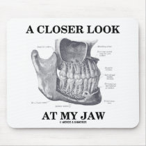 A Closer Look At My Jaw (Anatomical Bones)