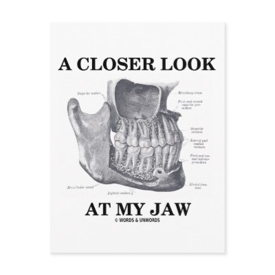 A Closer Look At My Jaw (Anatomical Bones) by wordsunwords