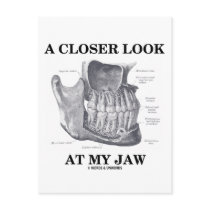 A Closer Look At My Jaw (Anatomical Bones)