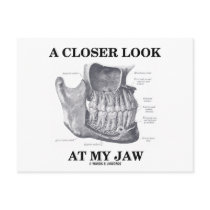 A Closer Look At My Jaw (Anatomical Bones)