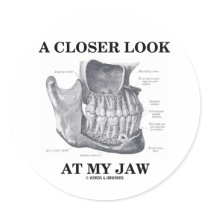 A Closer Look At My Jaw (Anatomical Bones)