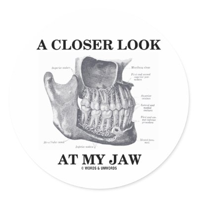 A Closer Look At My Jaw (Anatomical Bones) by wordsunwords