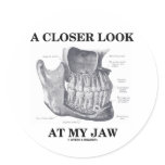A Closer Look At My Jaw (Anatomical Bones) stickers