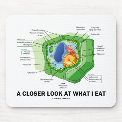 A Closer Look At What I Eat (Plant Cell) by wordsunwords