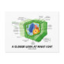 A Closer Look At What I Eat (Plant Cell)
