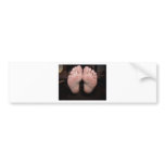 A CLOSEUP SHOT bumper stickers