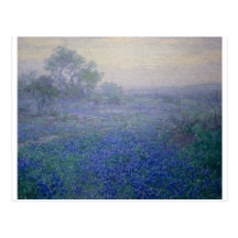 "A Cloudy Day Bluebonnets near San Antonio" Post Card
