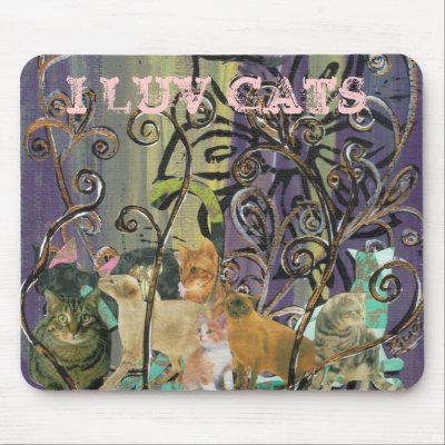 A Cluster of Cats by kewzoo