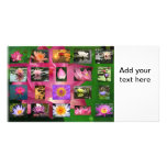 A Collage of Beautiful Water Lily and Lotus Images photo cards