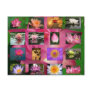 A Collage of Beautiful Water Lily and Lotus Images Post Cards