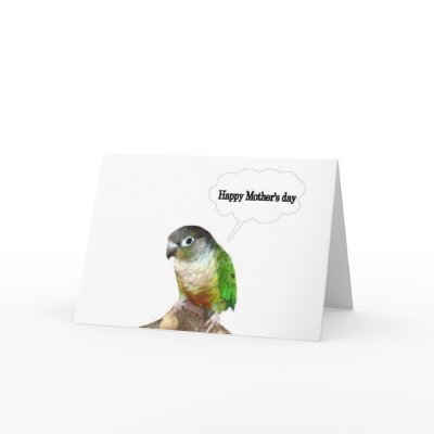 A conure's Mother's Day greeting Cards by nabrudigam