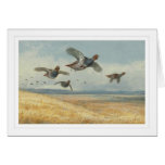 A Covey of Partridge Card