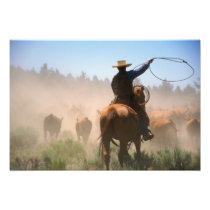 A cowboy out working the herd on a cattle